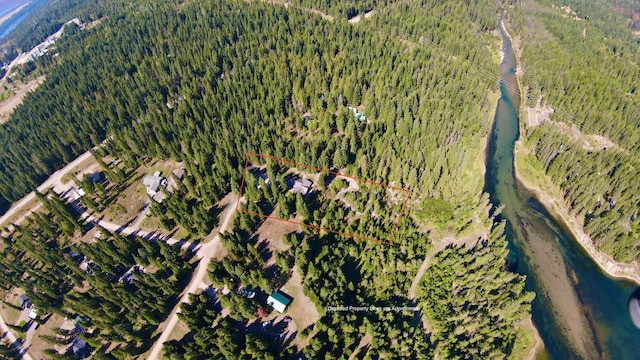 bird's eye view with a wooded view