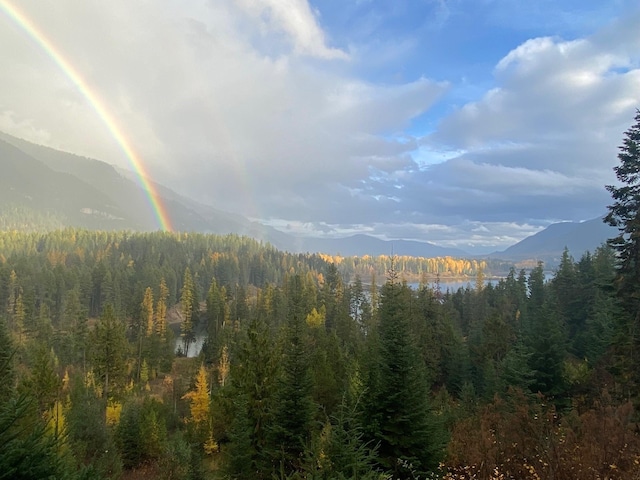 mountain view featuring a wooded view