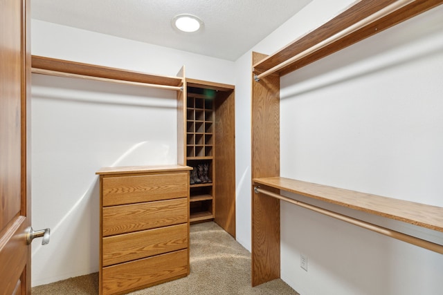 spacious closet featuring carpet flooring