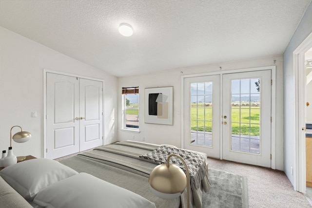 bedroom with multiple windows, a textured ceiling, access to exterior, and a closet