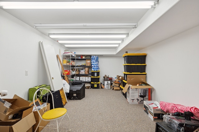 interior space with carpet flooring