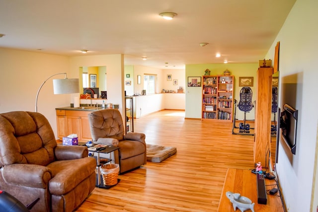 living room featuring sink and light wood-type flooring