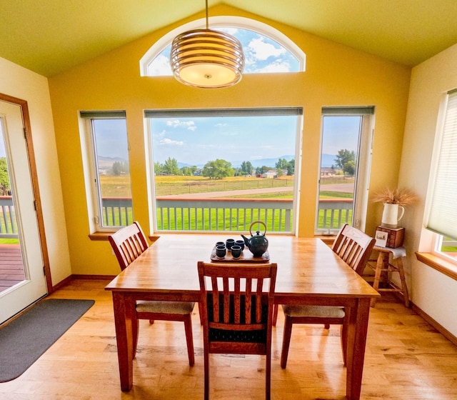 dining room featuring a healthy amount of sunlight, vaulted ceiling, and light hardwood / wood-style floors