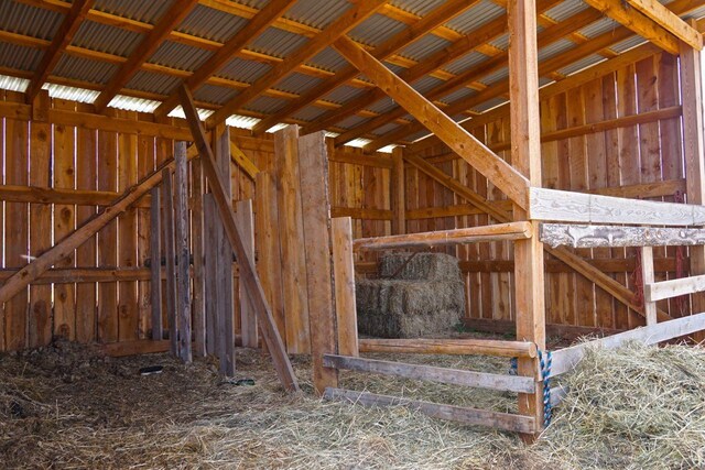 view of horse barn