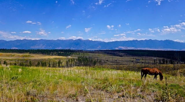 view of mountain feature with a rural view