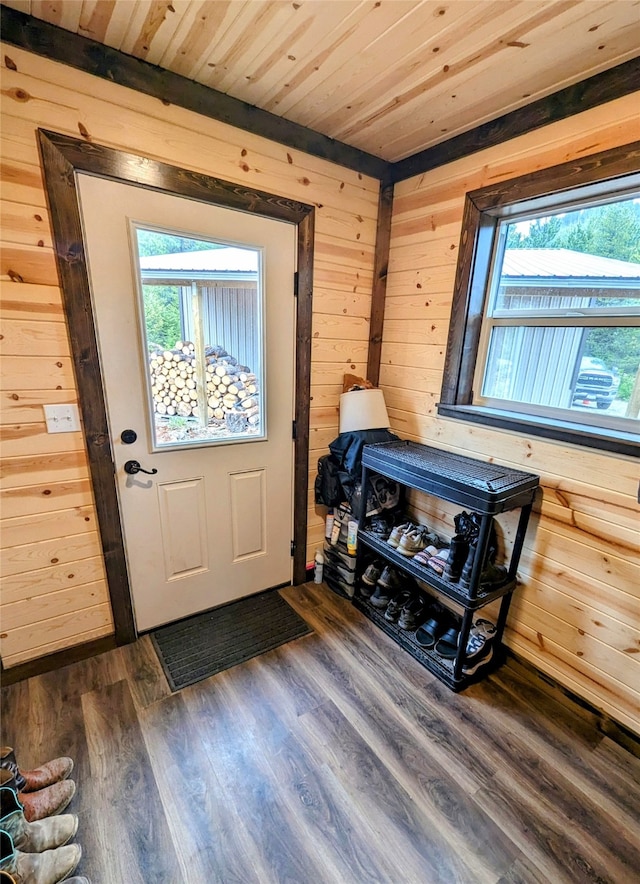 interior space featuring wooden ceiling, a wealth of natural light, wood walls, and dark hardwood / wood-style floors