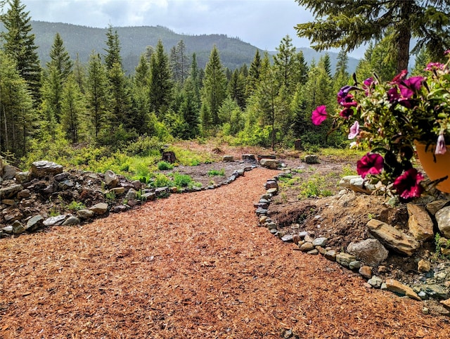 view of yard with a mountain view