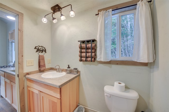 bathroom featuring vanity, toilet, and hardwood / wood-style flooring