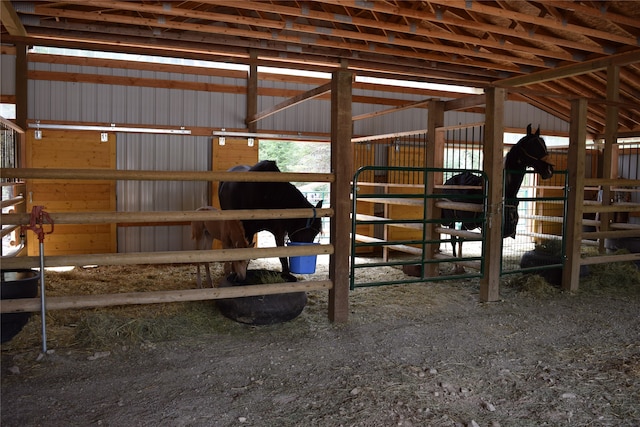 view of horse barn