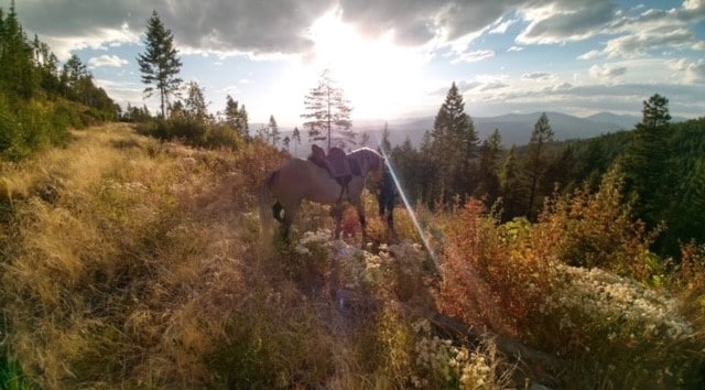 view of nature with a mountain view