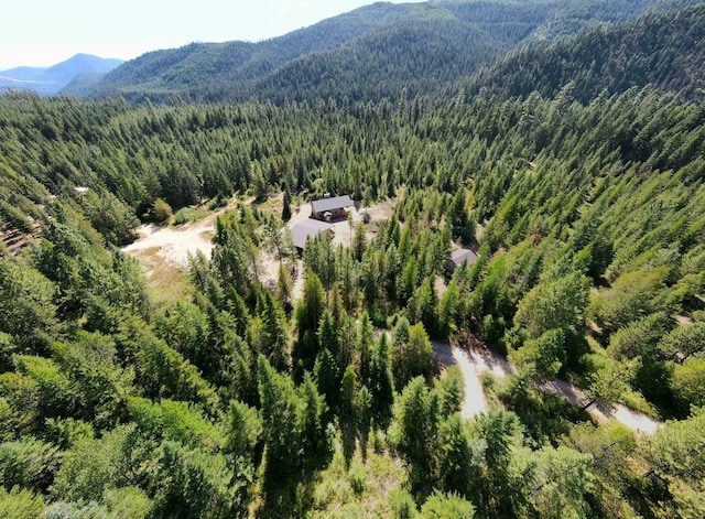 drone / aerial view featuring a mountain view