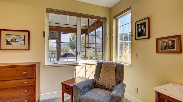 living area with carpet flooring