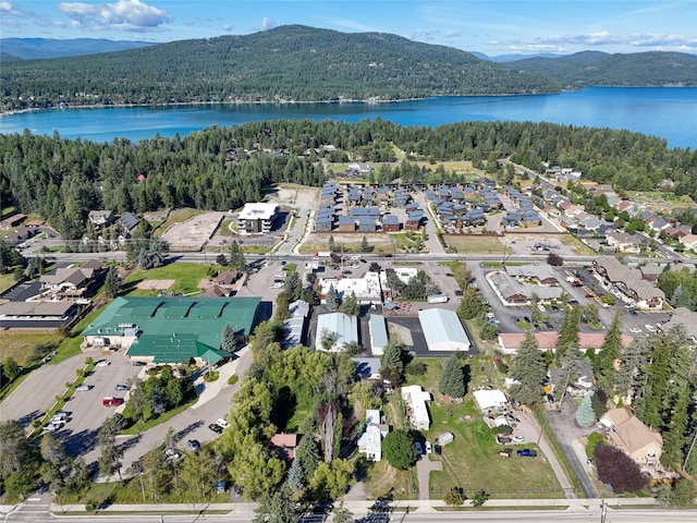810 Colorado Ave, Whitefish, MT 59937