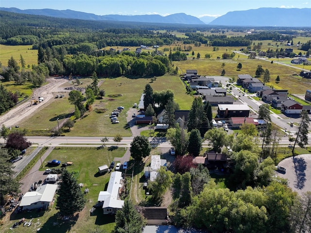 810 Colorado Ave, Whitefish, MT 59937