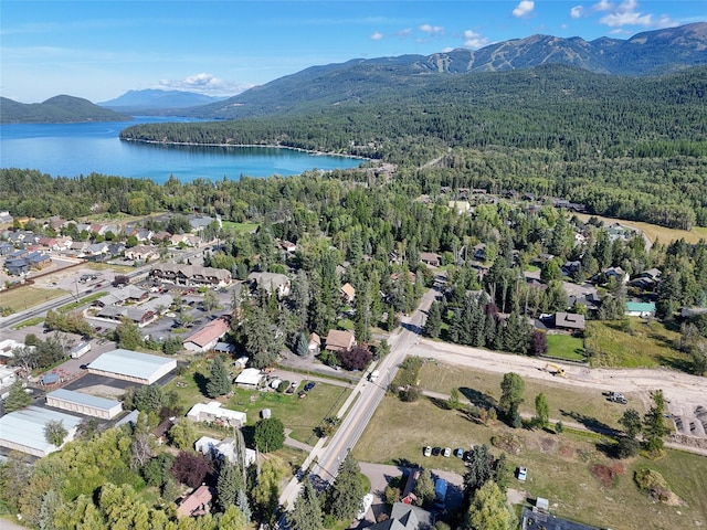 810 Colorado Ave, Whitefish, MT 59937
