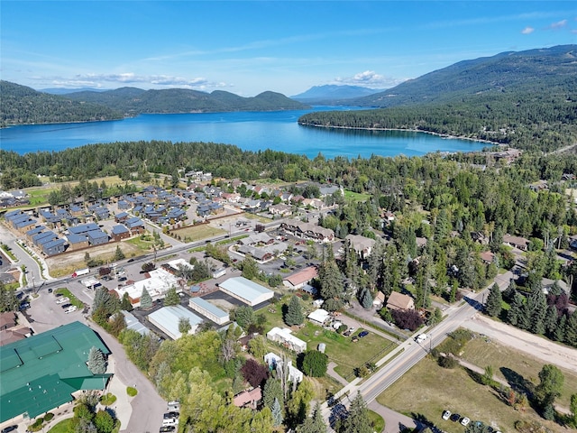 810 Colorado Ave, Whitefish, MT 59937