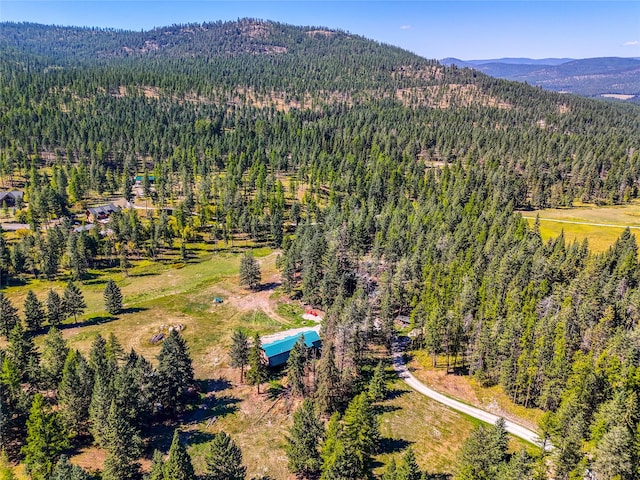 2100 Four Mile Way, Kalispell, MT 59901 - bird's eye view of a forest and a mountain backdrop