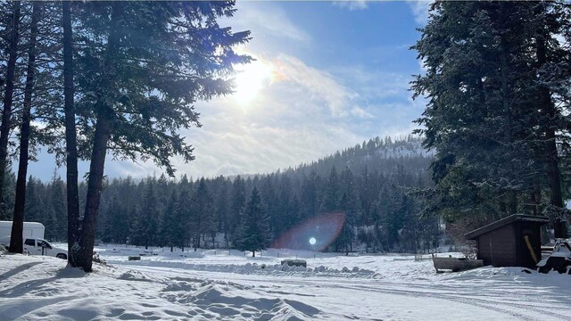 2100 Four Mile Way, Kalispell, MT 59901 - yard layered in snow with a wooded view