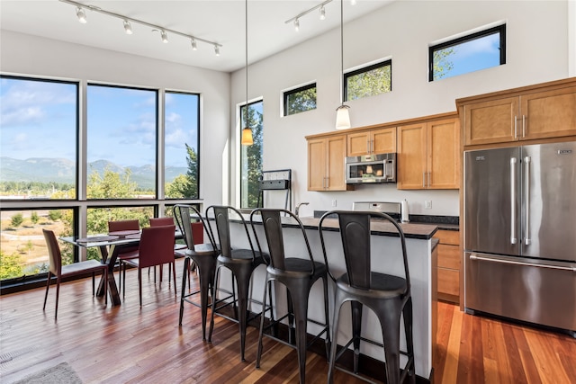 kitchen with dark hardwood / wood-style flooring, a mountain view, a healthy amount of sunlight, and appliances with stainless steel finishes