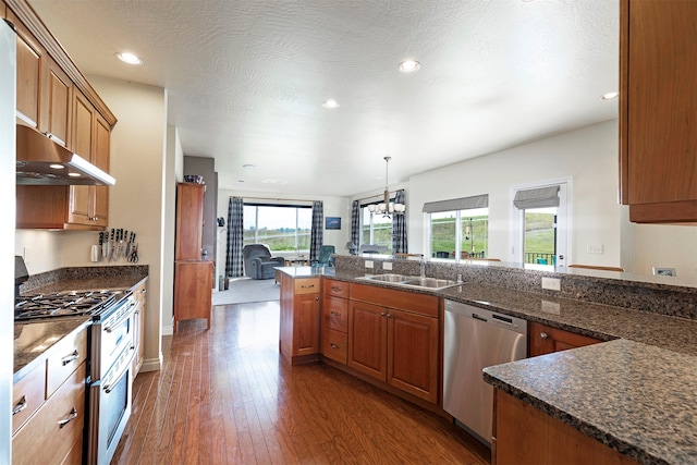 kitchen featuring sink, stainless steel appliances, plenty of natural light, and dark hardwood / wood-style floors