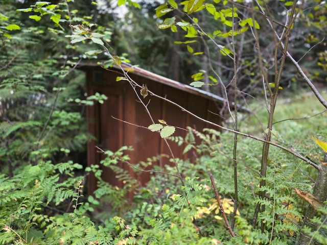 view of local wilderness