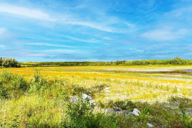 view of landscape featuring a rural view