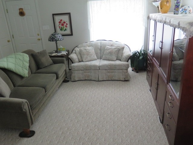 living room featuring light carpet