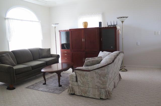 living room with baseboards and carpet floors