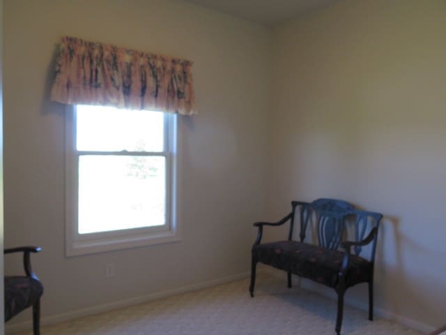 sitting room with light carpet