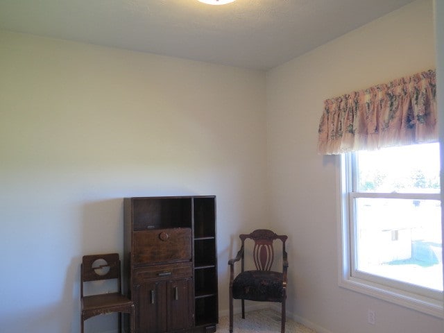 sitting room featuring carpet and a healthy amount of sunlight