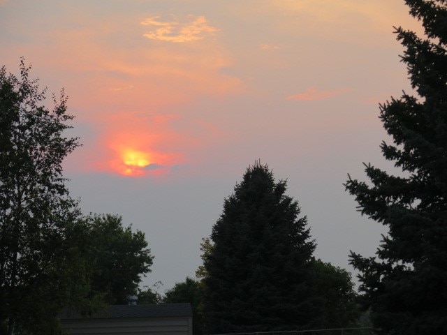 view of nature at dusk