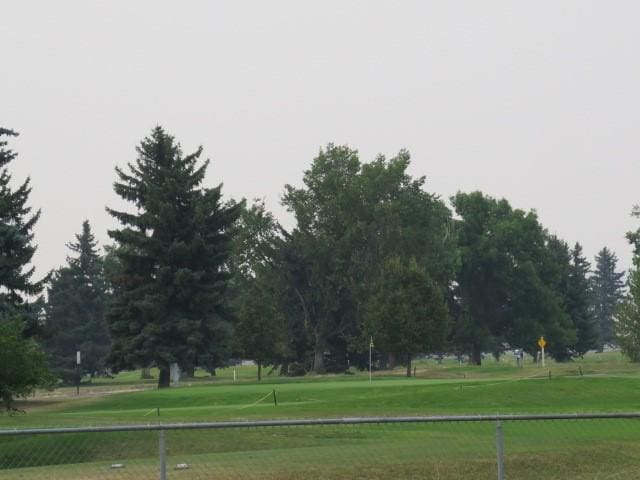 view of community featuring a yard