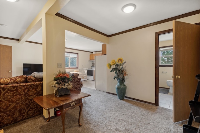 living room featuring light colored carpet and crown molding