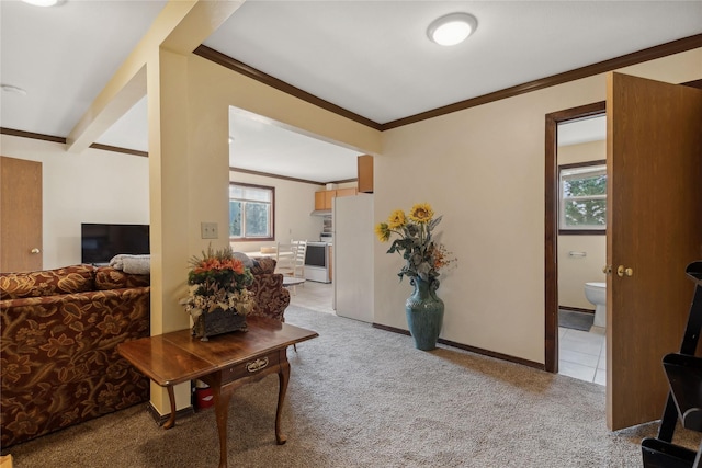 living area with light colored carpet, baseboards, a healthy amount of sunlight, and ornamental molding
