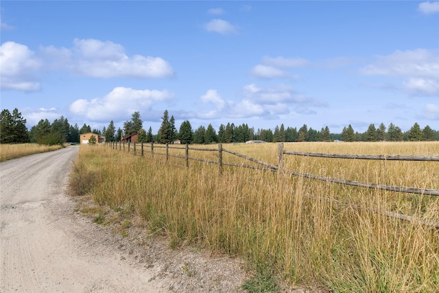 view of road with a rural view and driveway