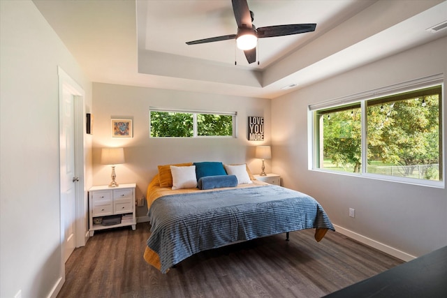 bedroom with baseboards, multiple windows, wood finished floors, and a raised ceiling