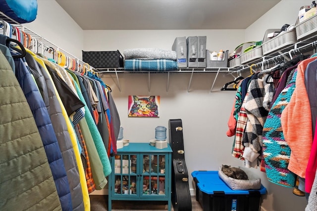 view of spacious closet