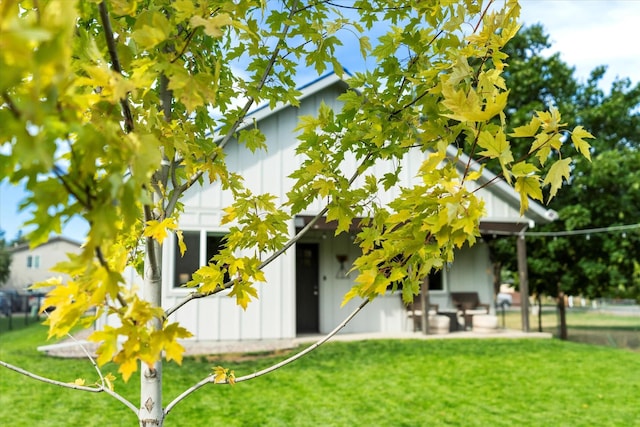 rear view of property featuring a yard