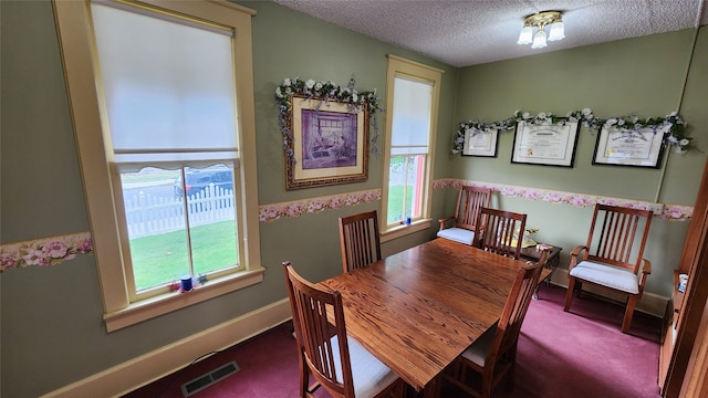 carpeted dining space with a textured ceiling and plenty of natural light