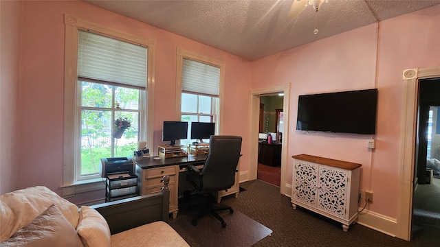 carpeted office with a textured ceiling