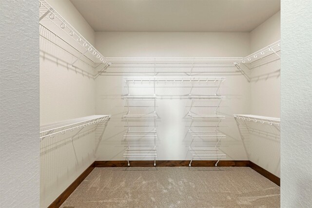 spacious closet with carpet floors