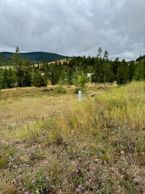 340 Whispering Pines Ln, Anaconda MT, 59711 land for sale