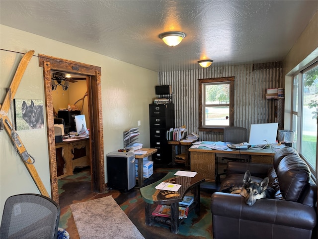 office space with plenty of natural light and a textured ceiling