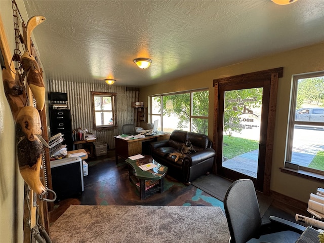 living room with a wealth of natural light and a textured ceiling