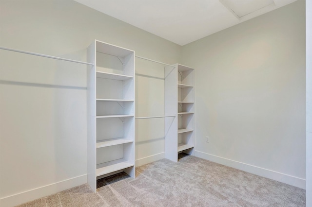 spacious closet featuring light colored carpet