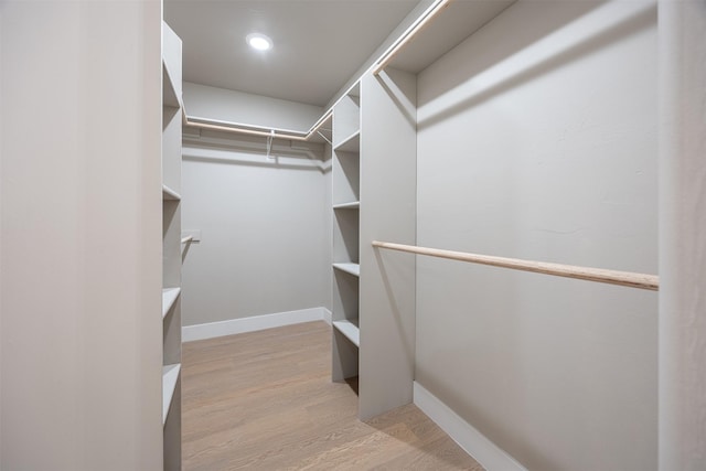 spacious closet featuring light hardwood / wood-style flooring