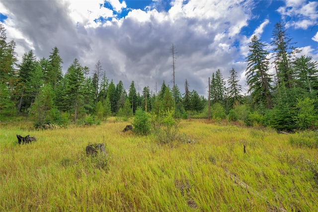 view of nature