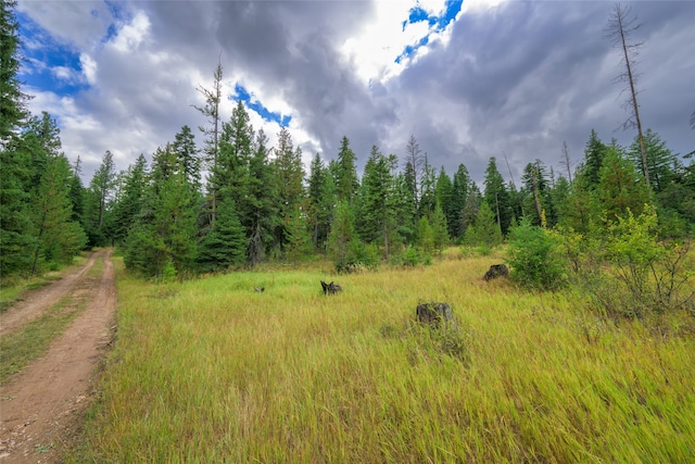 view of nature