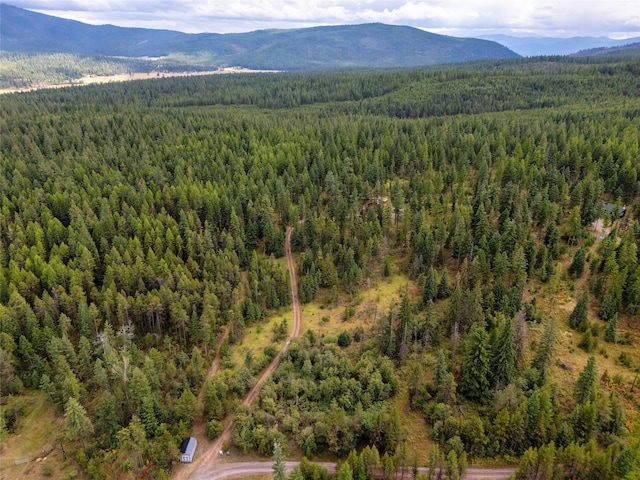 bird's eye view featuring a mountain view