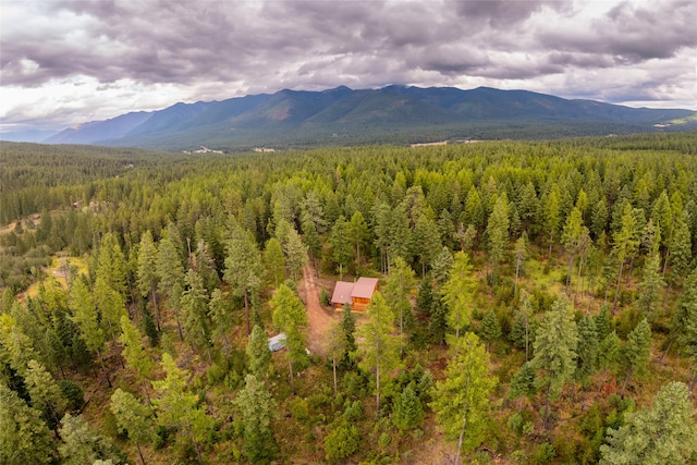 exterior space featuring a mountain view